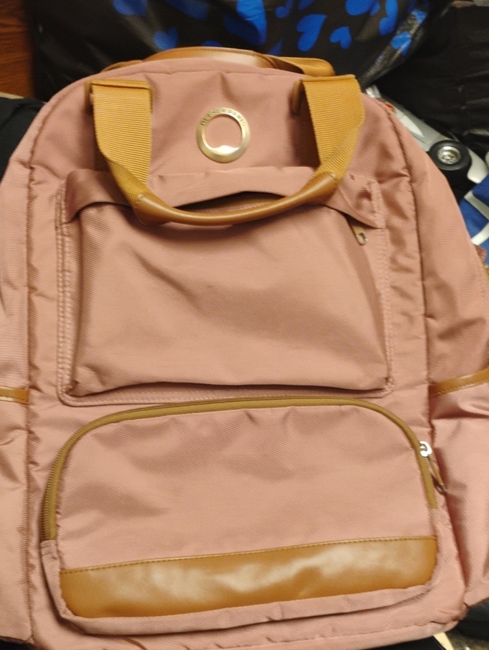 DELSEY PARIS TURENNE SE BACKPACK EXCELLENT CONDITION